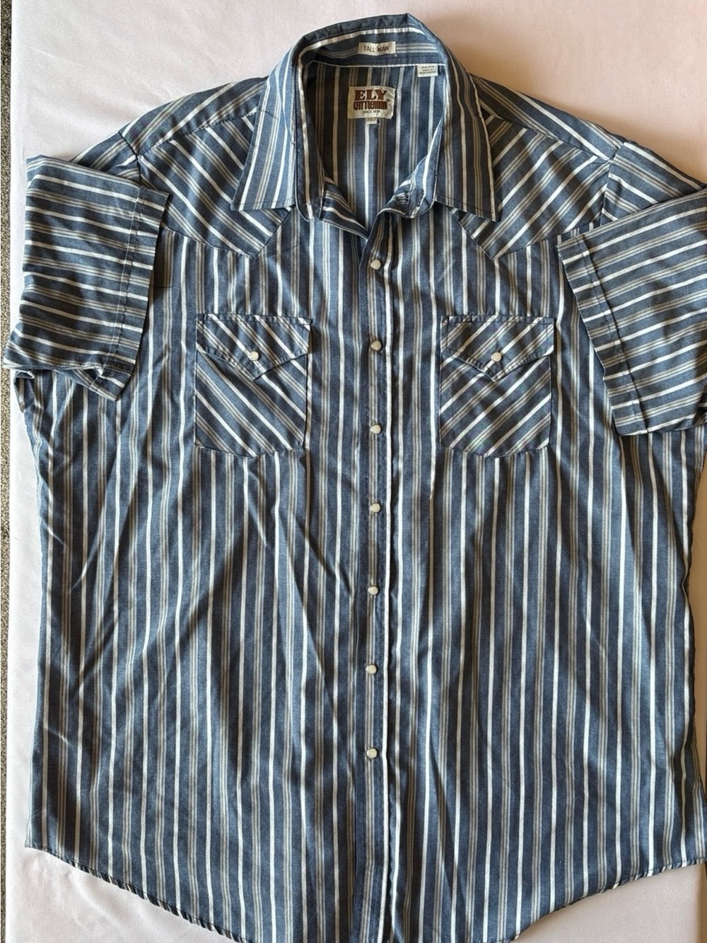 Ely Cattleman Blue and White Striped Western Button-Down Shirt